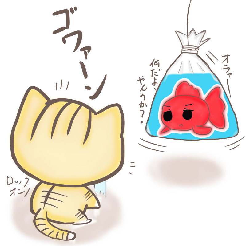 金魚VS子猫