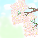 今年の春も、やっぱり桜のフリーイラストでしょ？