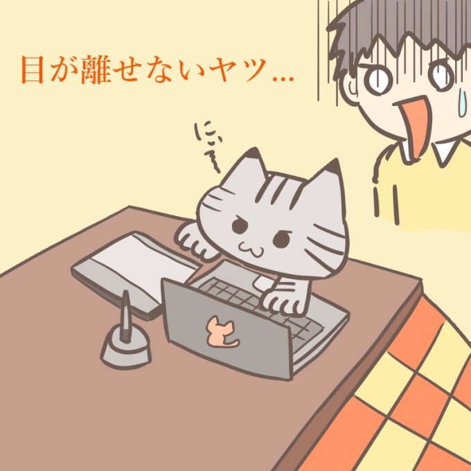 パソコンに悪戯する猫